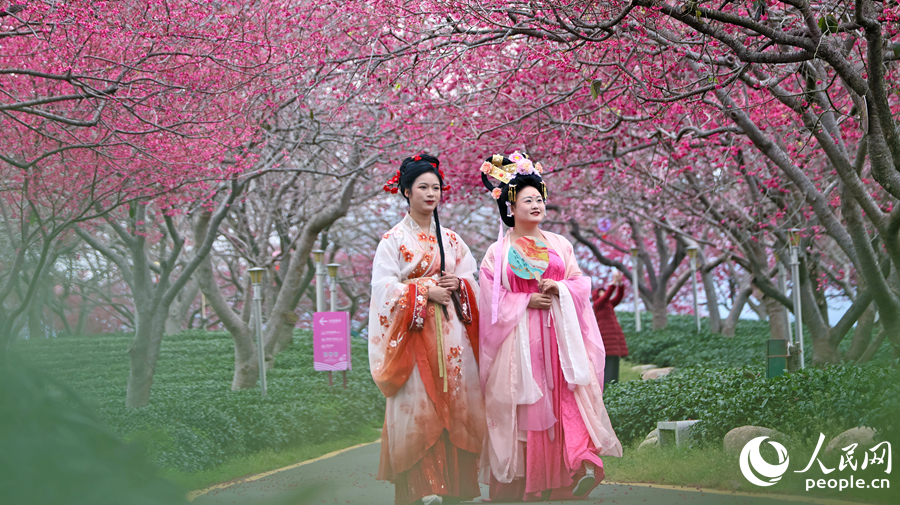 177243334874657693.png 图片2.png